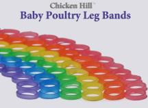 50 RED Poultry Spiral ID Leg Bands Standard Size 11 Chicken 11/16" One Color 
